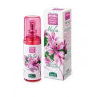 Deodorant MALVA - 100 ml